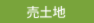 売土地
